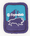 Girl Scout Badges