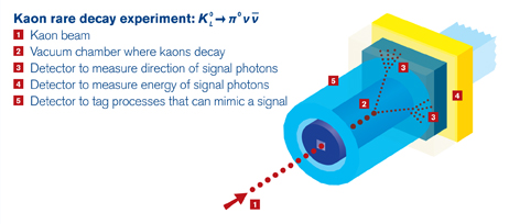 Illustration of Project X: Kaon rare decay experiment