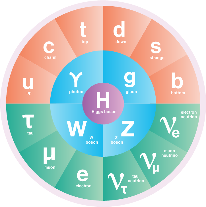 The Standard Model of Particle Physics | symmetry magazine